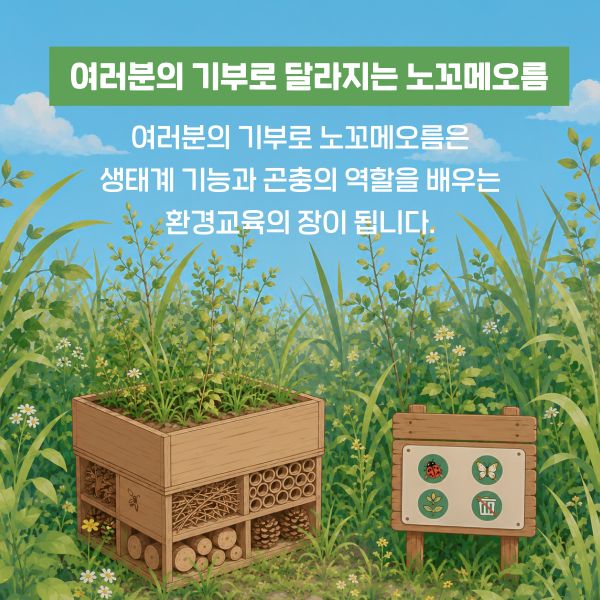 여러분의 기부로 달라지는 노꼬메오름

여러분의 기부로 노꼬메오름은 
생태계 기능과 곤충의 역할을 배우는
환경교육의 장이 됩니다.