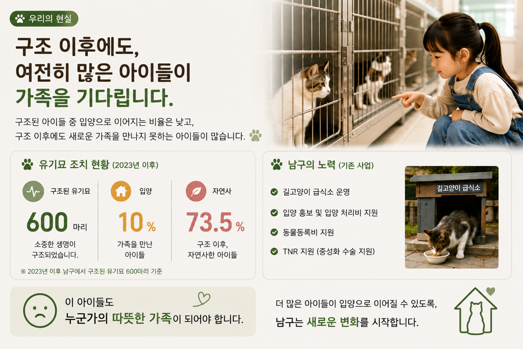 구조 이후에도 남는 문제