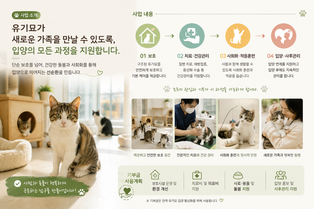 새로운 가족을 만나는 공간