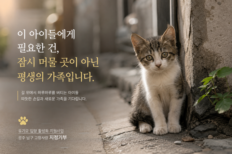 길 위의 기다리는 아이들(유기묘)