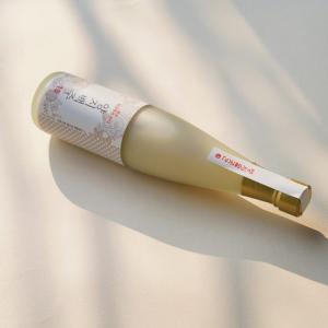 양양술곳간 양지백주 고도수 수제 막걸리