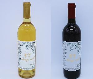 [늘샘와인] 직접 재배한 포도로 만든 전통주 레드+화이트와인(750ml*2병) 12% 