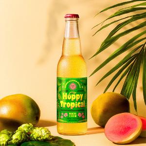 [충주 전통주]댄싱사이더 홉피 트로피컬 (6%) 500ml x 2병