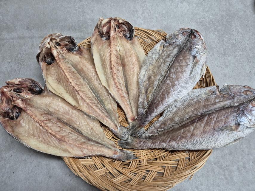 [전남 고흥군] 현대건어물 반건조 민어 5마리