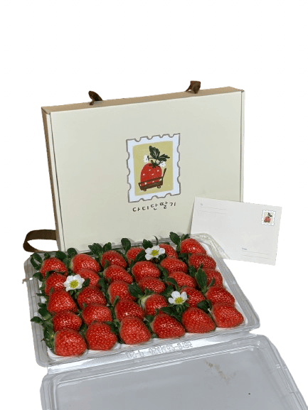 🎁 [전남 고흥군]  다디단딸기 고흥 GAP인증 설향 딸기 대  800g프리미엄 선물세트