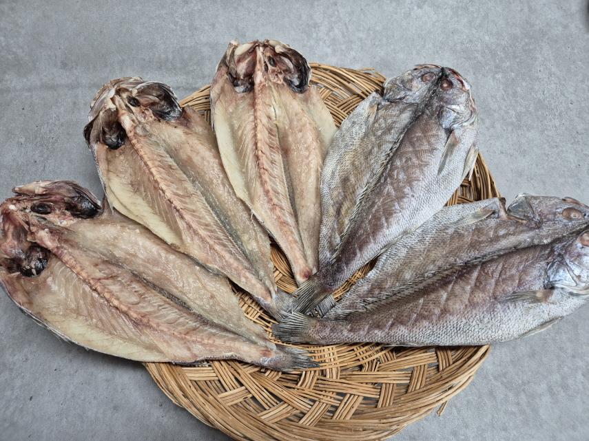 • [전남 고흥군] 현대건어물 반건조민어 5마리