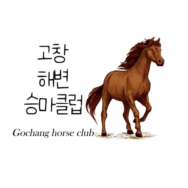 [전북특별자치도청] 고창 해변에서 전문승마지도사와 함께하는 승마체험권