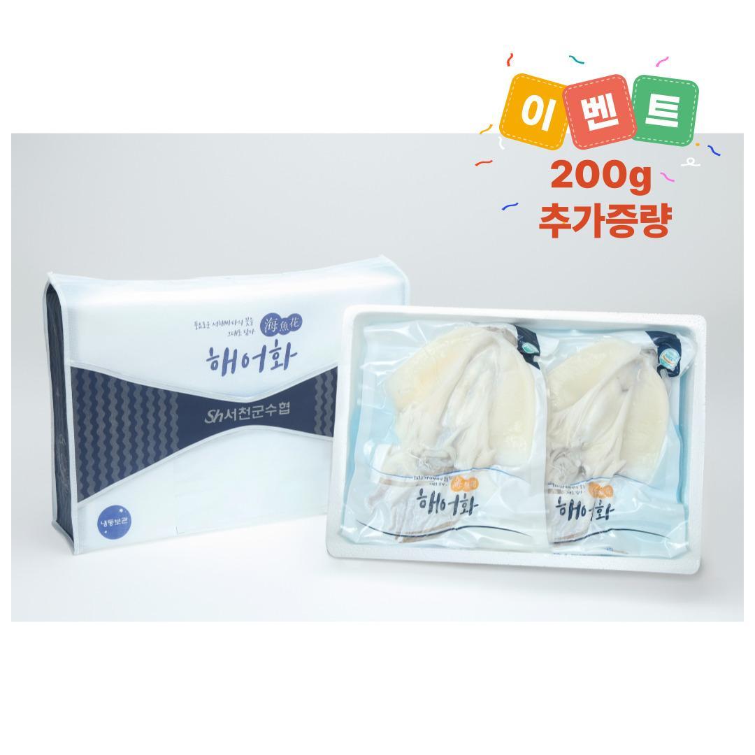 [충남 서천군]★특별증량 ★갑오징어 선물세트 [600g+추가 200g 증량]