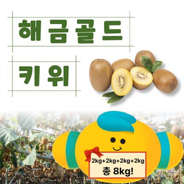 [전남 고흥군]  장선키위 해풍맞은 득량만 골드키위 소과 8kg(2kg*4)