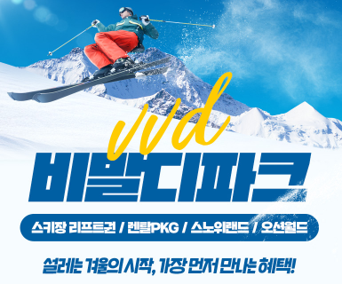 비발디파크 비기너패스 or 오션월드 입장권