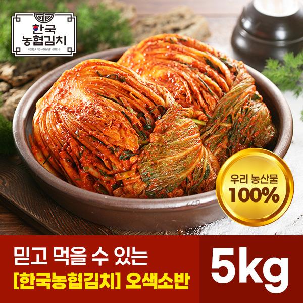 오색소반 포기김치5kg