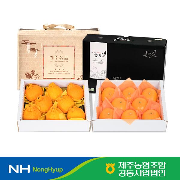 [귤로장생]한라봉 1.8kg + 레드향 1.8kg 총 3.6kg 세트