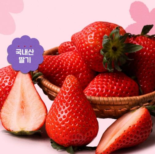 [한/정/수/량] 논산 딸기 감사제 (킹스베리&비타베리)