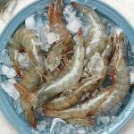 국내산 신안 급냉새우 1kg (왕특대/특대/특)