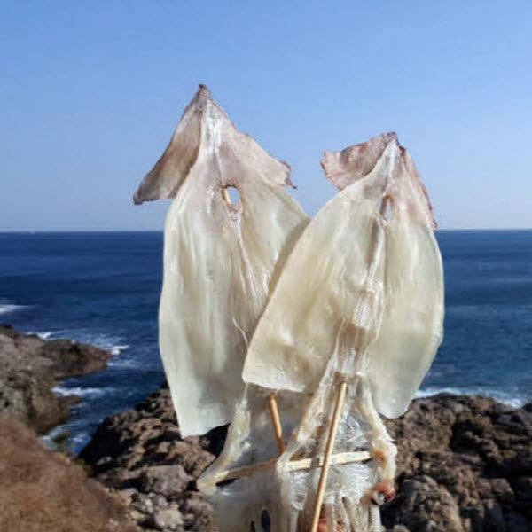 [가을바다] 부드러운 마른오징어 10마리 400g