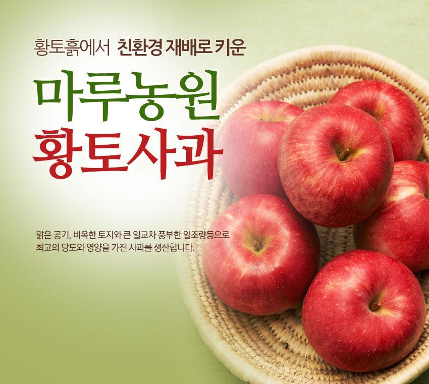 [마루농원] 사과 - 간식용 + 0.5KG 더 , 못난이(흠집) + 1KG 더 