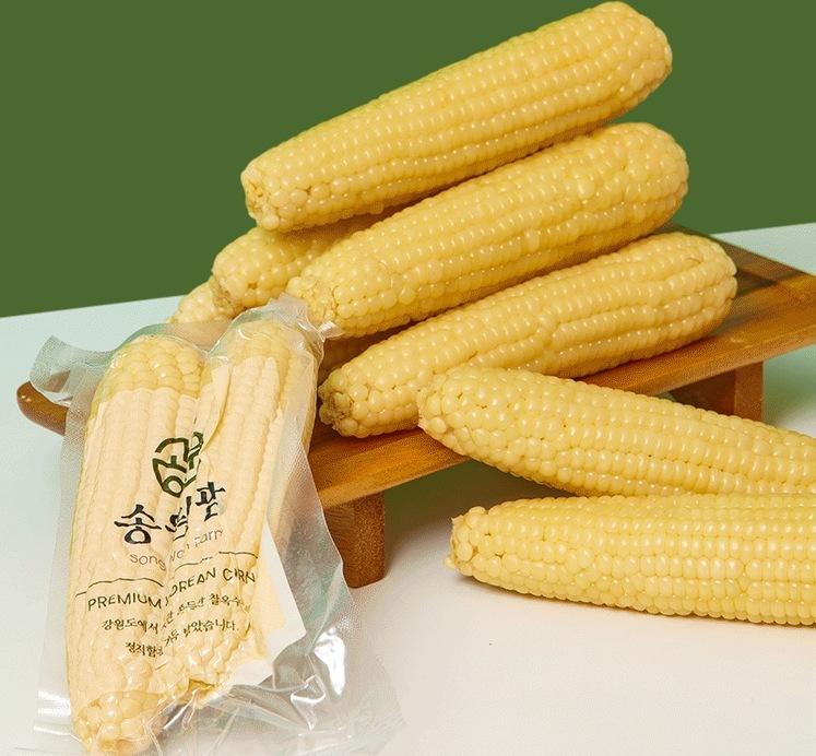 영월 찐 미백찰옥수수