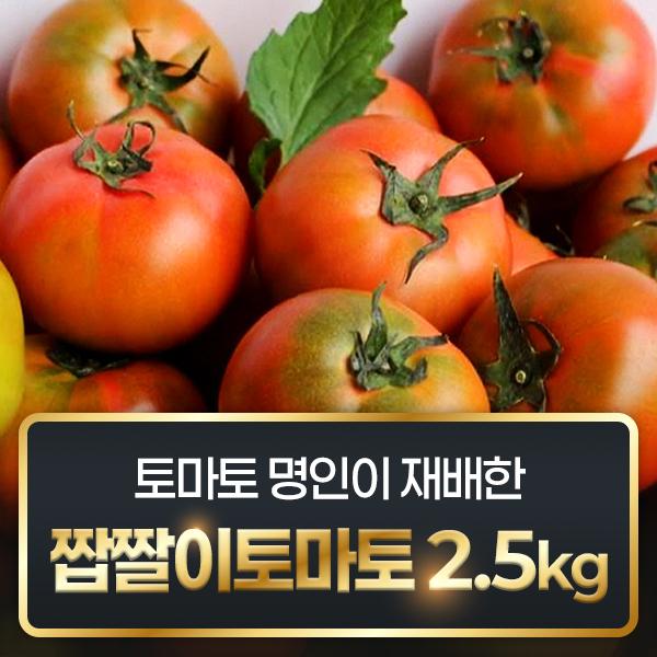 [부산 시청] 토마토 명인이 재배한 짭짤이 토마토 2.5kg