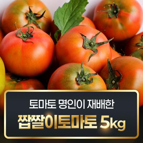 [부산 시청] 토마토 명인이 재배한 짭짤이 토마토 5kg