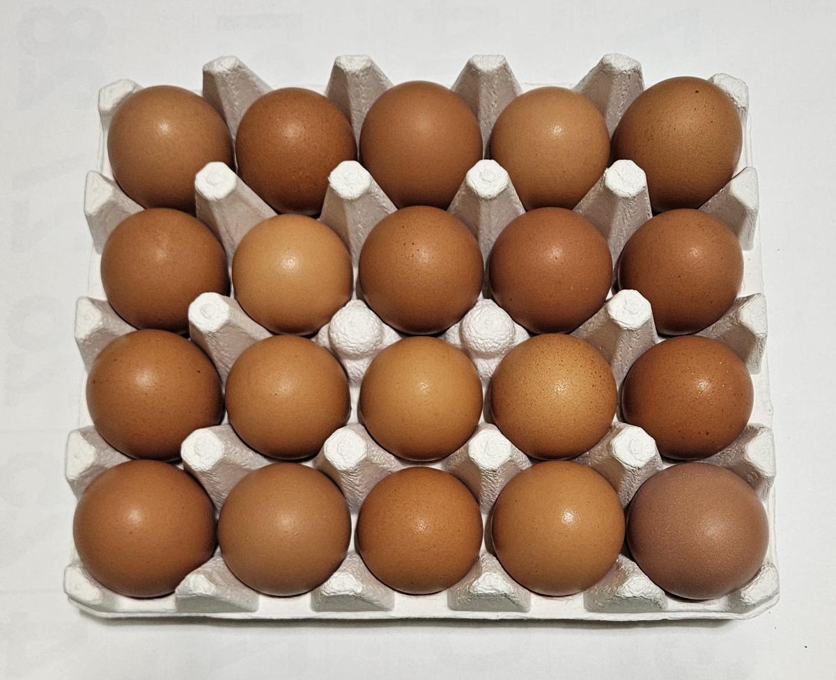 [광주 동구] 월정유정란 20알 X 2팩