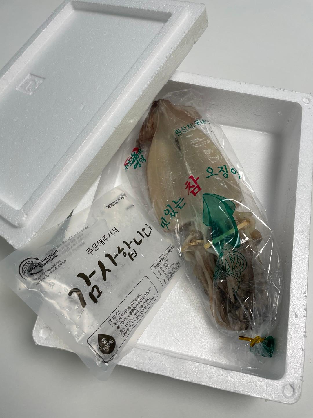 반건조오징어