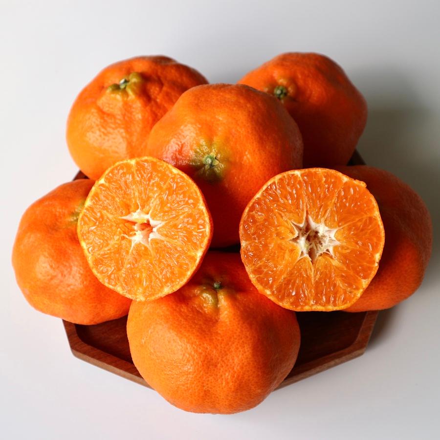 [전북특별자치도청] 만감류(한라봉2.5kg/레드향2.5kg)