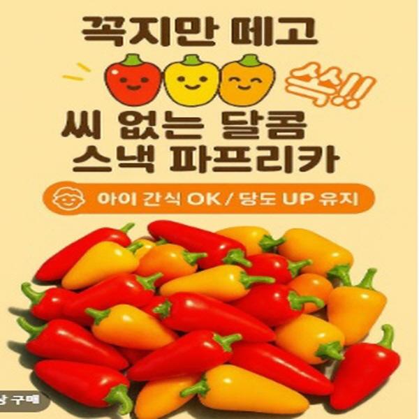 [영암군] 해담토 씨없는 미니파프리카 2kg