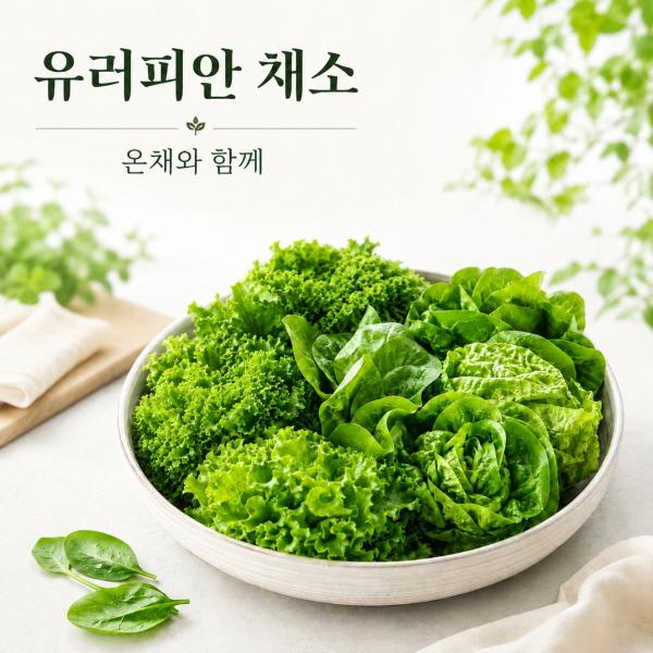 [온채] 유러피안 모둠쌈채소(3kg)