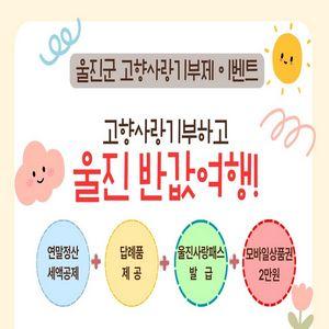 울진 반값여행