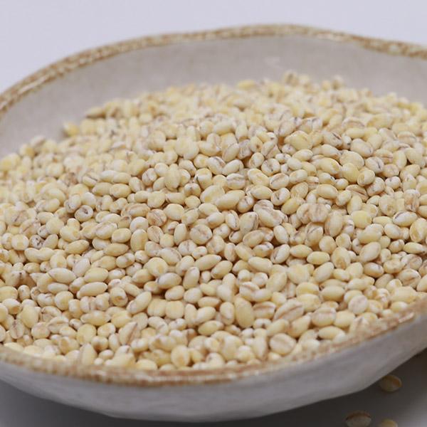찰쌀보리5kg