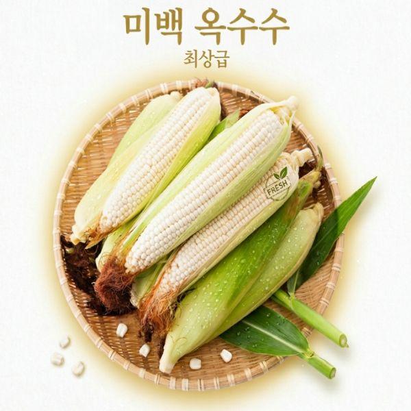 [영암군] 푸르름영농조합법인 햇 미백 옥수수 10개/20개 (15cm이상)