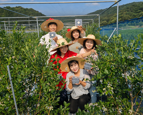 세대 불문 오감 만족! 자연과 하나 되어 힐링하는 온도농장 블루베리 체험권