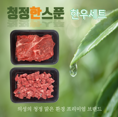 청정 한우세트