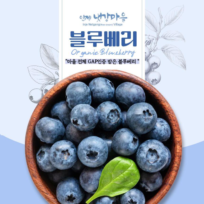 새콤달콤 블루베리
