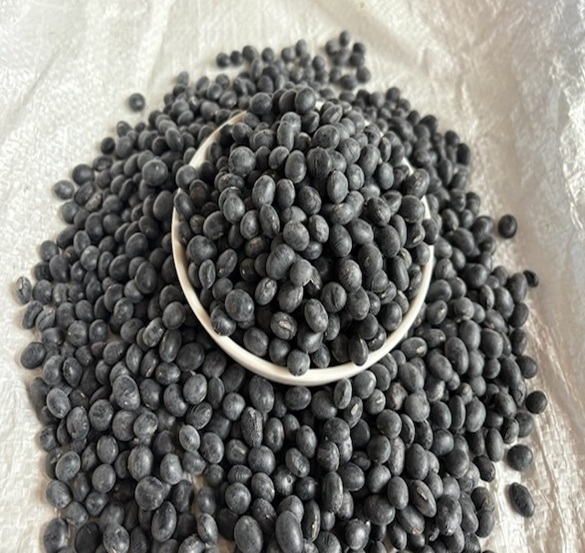 옹기마을 서리태(속청)콩 1kg