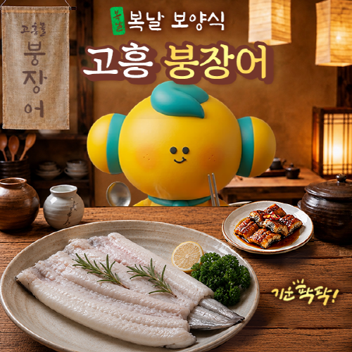[전남 고흥군]반건조 바다장어 (붕장어) 1kg 손질완료/아나고/장어
