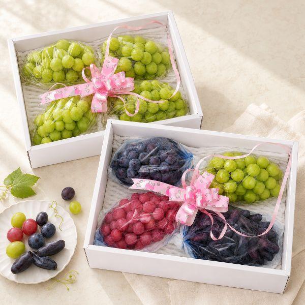 [인간극장 출연] 금화농장 26년산 제철포도 세트 택1 혼합4종/샤인4송이 2.5kg 이상