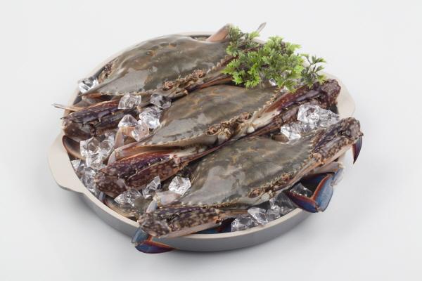 만선호 숫꽃게 1kg(3~4미)