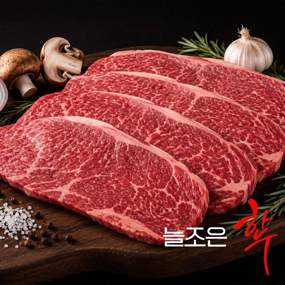 늘조은하누 1등급 명품 한우 등심 400g