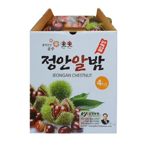 [알밤]충남 공주 특산물 정안알밤 "대품"4kg